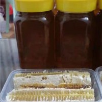 两斤瓶装蜂蜜产品春自产深山蜂场土蜂蜜现货瓶装农家土特产龙眼蜜