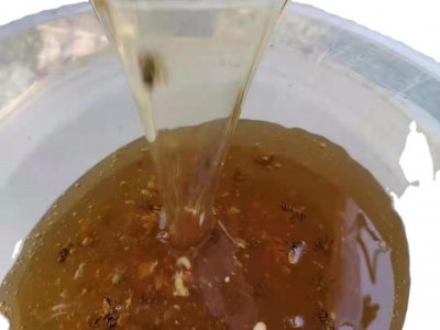 两斤瓶装蜂蜜产品春自产深山蜂场土蜂蜜现货瓶装农家土特产龙眼蜜图5