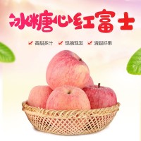 四川茂县冰糖心红富士苹果 香甜多汁 应季水果 支持批发