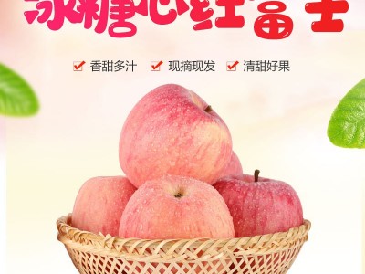野花蜂蜜 四川阿坝茂县自然提取营养丰富百花蜂蜜图2