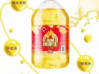 厂家供应现货海皇煎炸王大豆油10L 食用油 超市家用大豆油图4