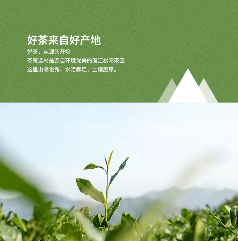 雪青香茶绿茶
