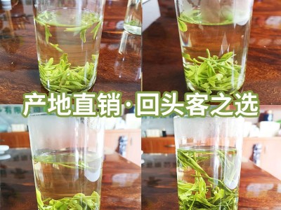 2022年新茶产地龙井绿茶 浙江优选龙井高山茶叶散装现货批发图3