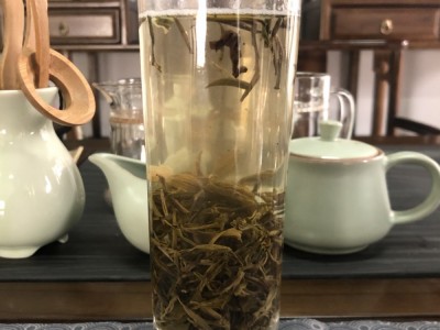 【西安热销】2022新茶六窨珍品香雪针浓香型茉莉花茶横县散茶批发图4