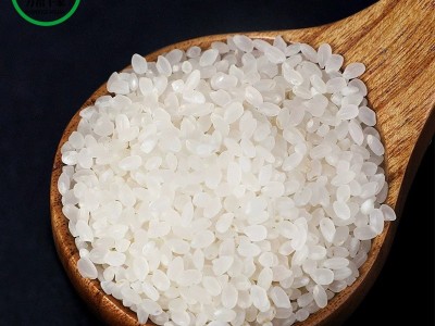 厂家直批大米千禧香珍珠米10kg珍珠米20斤装苏北当季新米图5