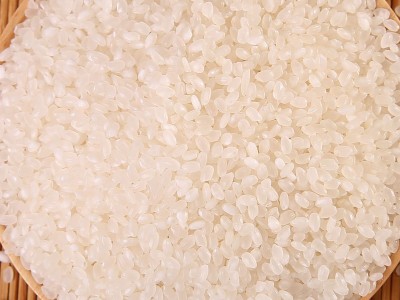 厂家直批大米5kg 蟹田大米 商超餐厅现货供应 珍珠米香米10斤装图3