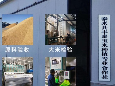 新稻香米黑龙江泰来大米 5kg十斤礼品礼盒装 长粒米直批图5