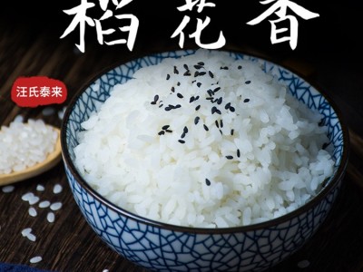 新稻香米黑龙江泰来大米 5kg十斤礼品礼盒装 长粒米直批图3