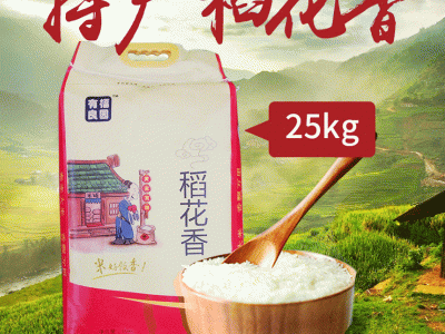 东北泰来新稻龙洋16大米 25kg装 源头厂家直批粳米图2