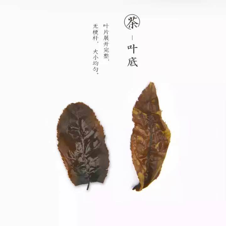 微信图片_20190919103919