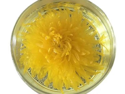 金丝皇菊 修水菊花茶独立包装一朵一杯 婺源皇菊 散装批发图5