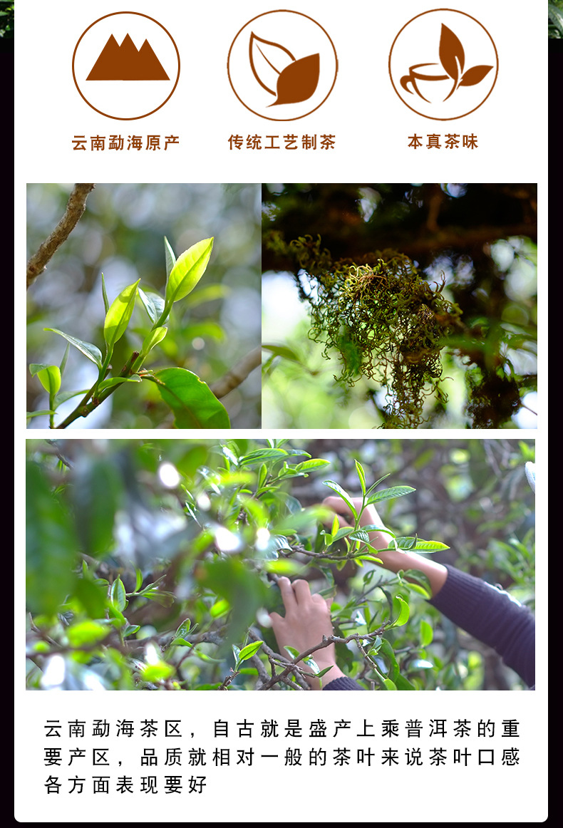 紫印详情页_03.jpg