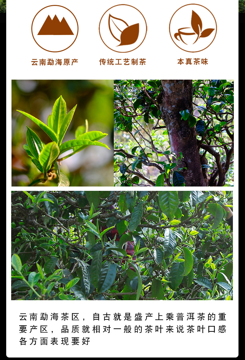 红印详情页_03.jpg