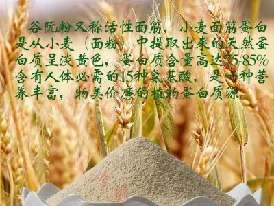 谷朊粉 烤面筋粉 拉丝蛋白粉样品装 家庭装图4
