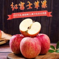 山东烟台栖霞红富士苹果新鲜水果3/5/9斤装脆甜多汁微商一件代发