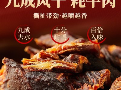 牛肉干风干牛肉西藏特产手撕内蒙古牦牛肉正宗香辣休闲小吃零食图2