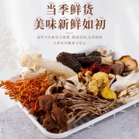 100g/袋云南七彩菌汤包滇二娃煲汤食材干货菌菇包炖鸡炖排骨批发