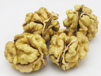 新疆185纸皮核桃仁厂家大量批发 尖白头路头路二路三路核桃仁新货图2