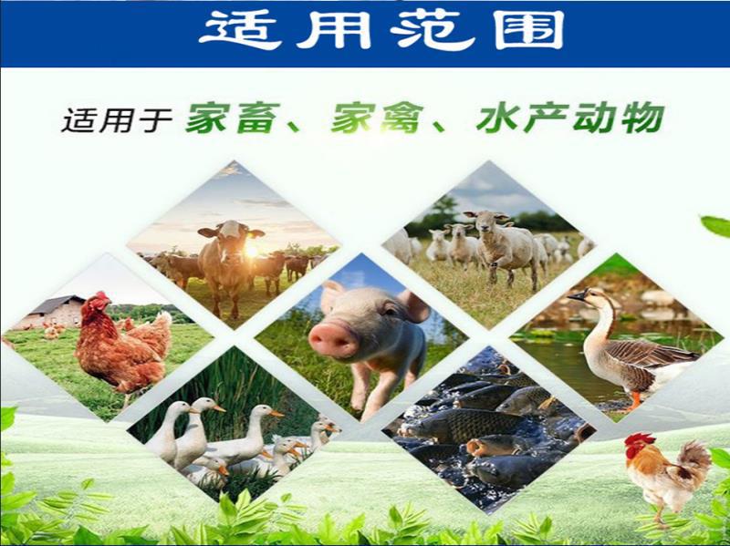 澳冉广1