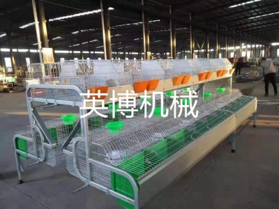 兔子养殖设备三层兔笼图3