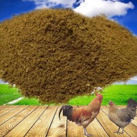 混合肉骨粉 鸡鸭鹅家禽动物蛋白饲料畜禽水产养殖饲料 鸡肉骨粉
