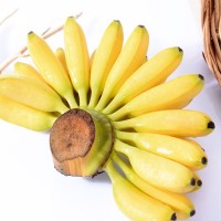 苹果蕉新鲜水果苹果香蕉当季整箱苹果焦香蕉粉蕉小香蕉小米蕉芭蕉