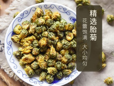 玉叶金花源头厂家供应易拉罐装60克新桐乡胎菊花花果茶养生 茶批发图3