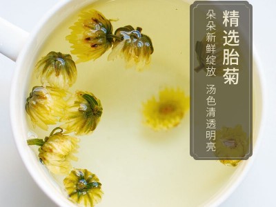 玉叶金花源头厂家供应易拉罐装60克新桐乡胎菊花花果茶养生 茶批发图5