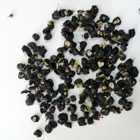 黑枸杞青海大粒500g黑苟杞摆地摊黑果勾起批发