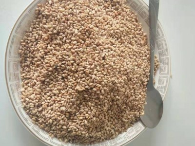 五谷杂粮 熟 白芝麻饱满皮薄口感好后味香醇 厂家现货代加工图3