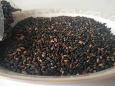 厂家现货黑芝麻黑色五谷粗粮量大价低温烘焙熟五谷图5