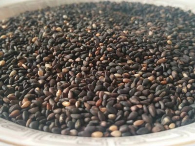 九蒸九晒黑芝麻丸零食厂家直销手工丸子招代理黑芝麻丸代发多规格图2