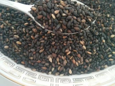 九蒸九晒黑芝麻丸零食厂家直销手工丸子招代理黑芝麻丸代发多规格图3