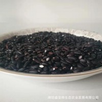 低温烘焙熟五谷黑米药食兼用营养煮粥食品量大价低
