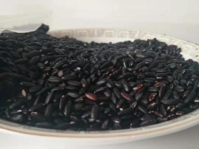 低温烘焙熟五谷黑米药食兼用营养煮粥食品量大价低图5