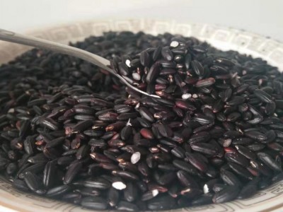 低温烘焙熟五谷黑米药食兼用营养煮粥食品量大价低图2