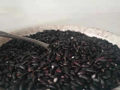 低温烘焙熟五谷黑米药食兼用营养煮粥食品量大价低图3