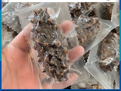 一手货源 大连海参批发 即食海参 鲜食海参500克辽刺参辽参图5