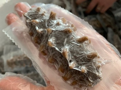 一手货源 大连海参批发 即食海参 鲜食海参500克图4