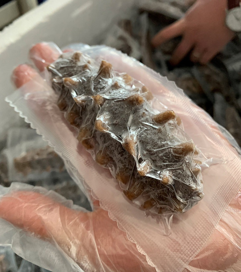 单冻水发拉膜_05.jpg