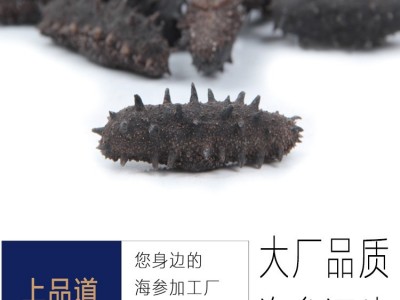 【海参工厂】淡干海参批发辽刺参干货厂家直供一件代发50g图2