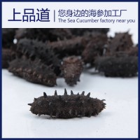 【海参工厂】淡干海参批发辽刺参干货厂家直供一件代发50g