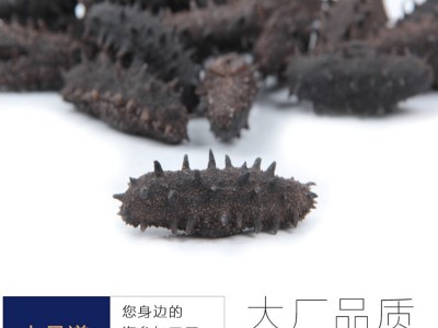 【海参工厂】淡干海参批发辽刺参干货厂家直供一件代发50g图3
