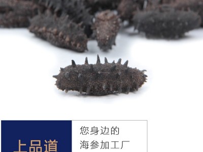 【海参工厂】淡干海参批发辽刺参干货厂家直供一件代发50g图4
