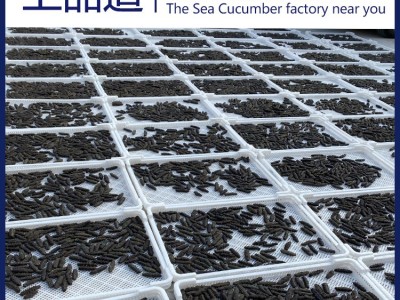 【海参工厂】大连海参淡干海参批发海参干海参礼盒批发一手 货源图2