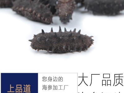 【海参工厂】大连海参淡干海参批发海参干海参礼盒批发一手 货源图4