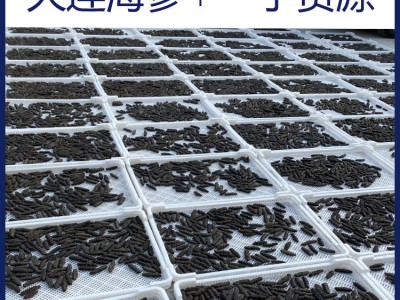 【海参工厂】大连海参淡干海参批发海参干海参礼盒批发一手 货源图1