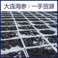【海参工厂】大连海参淡干海参批发海参干海参礼盒批发一手 货源