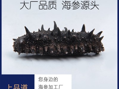【海参工厂】大连海参淡干海参批发海参干海参礼盒批发一手 货源图3