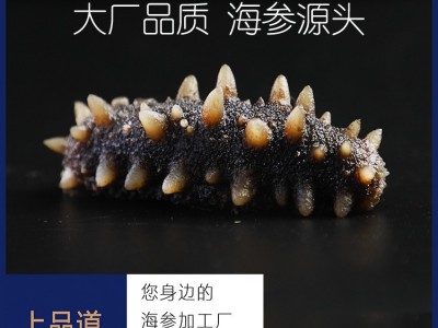【海参工厂】即食海参批发辽刺参非干货厂家直供一件代发一斤图2